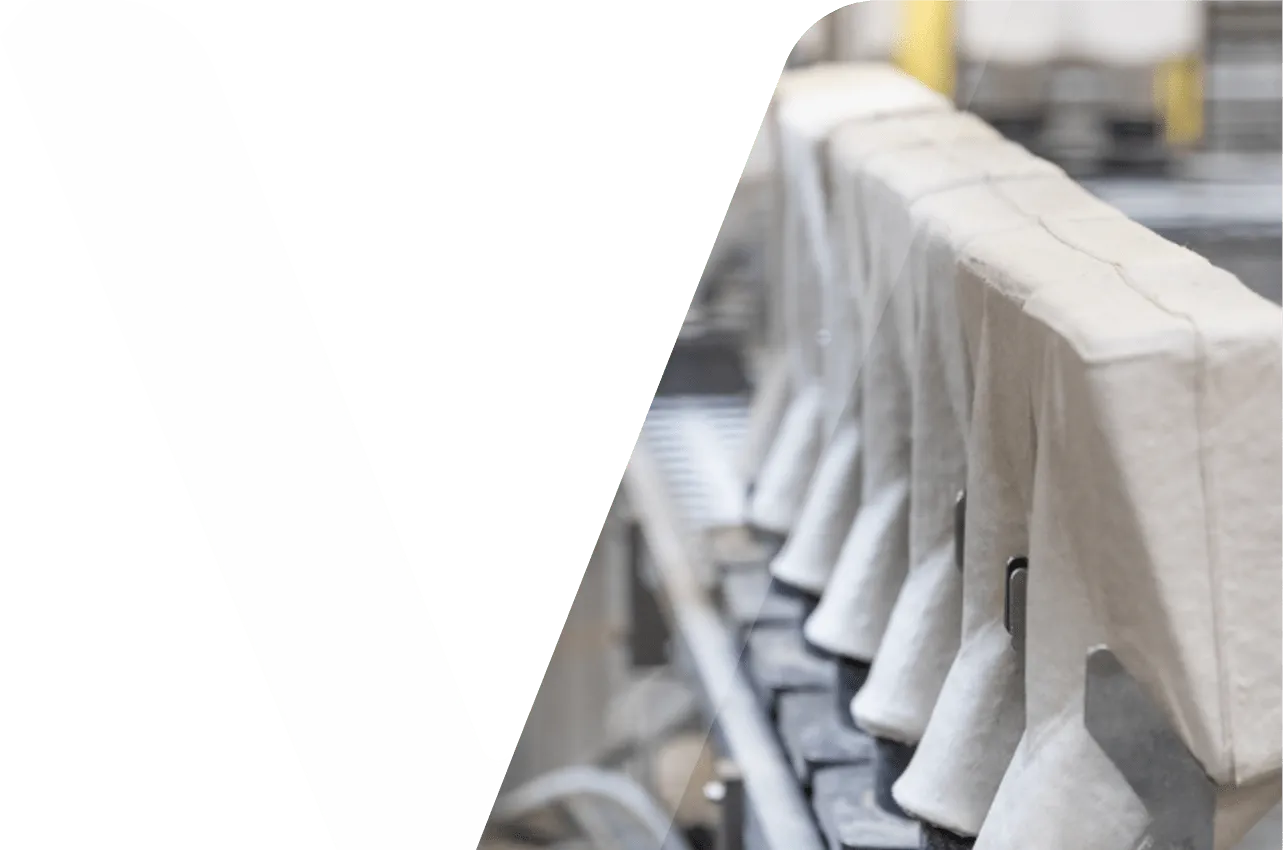 Environmental and Social Well Being